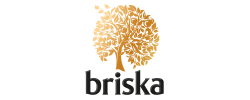 briska logo 540