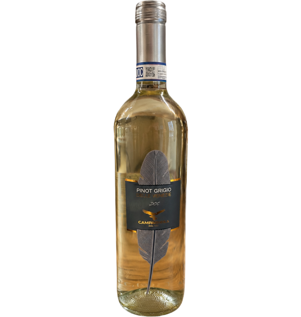 pinot grigio
